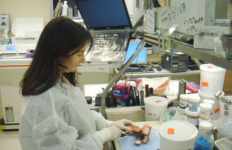 Stamford Pathology Group — case study