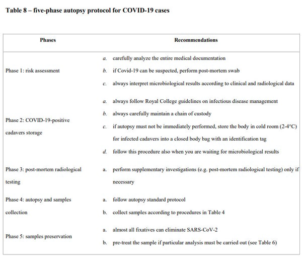 autopsy protocol