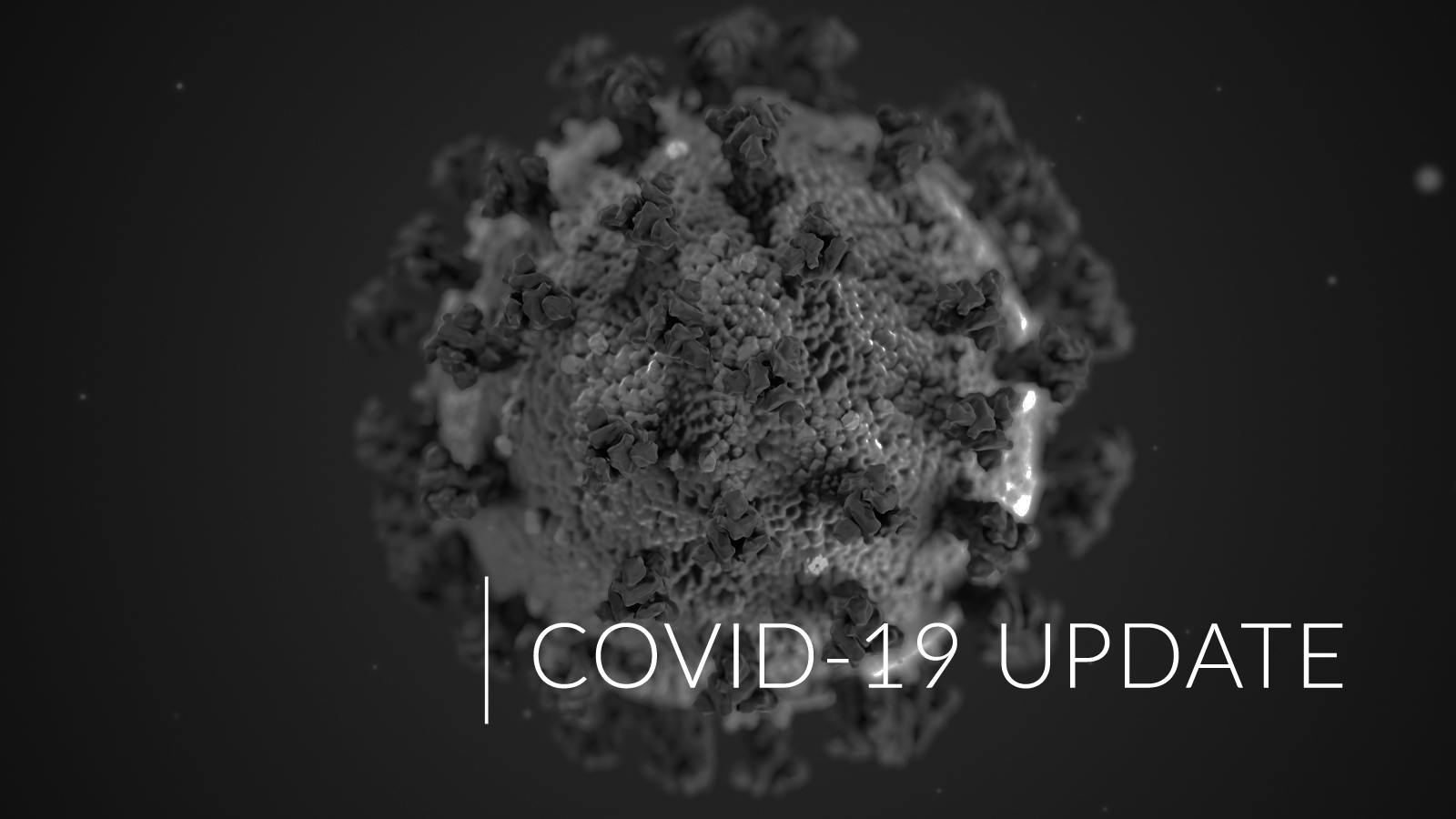 Coronavirus: Hope for the Best, Prepare for the Worst